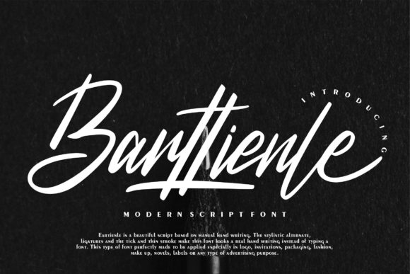 Barttienle: A Modern Handwritten Font for Web Design