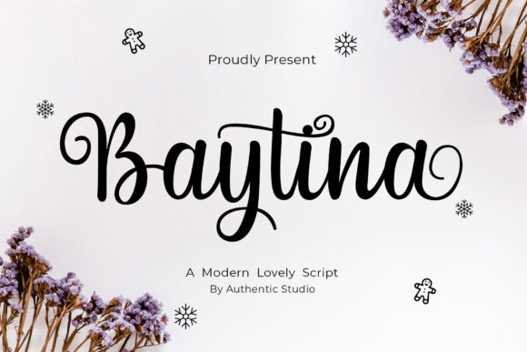 Baytina: A Romantic Script Font for Web Design