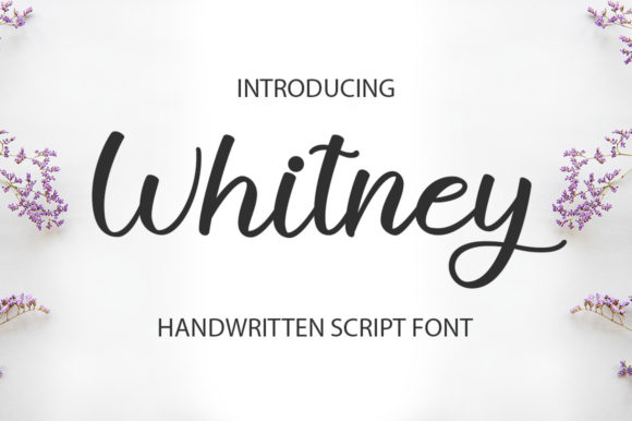 Elevate Editorial Design with the Withney Script Font