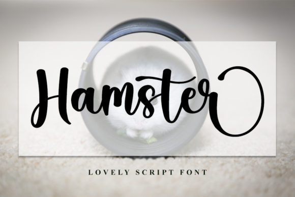 Hamster Font Review: A Designer's Practical Take