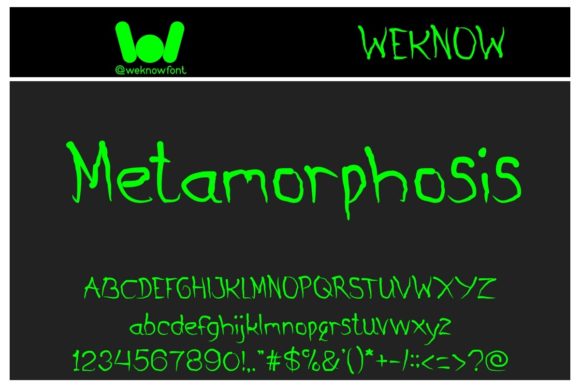 How Metamorphosis Font Transformed My Brand’s Look and Feel